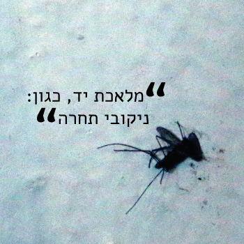 ג'ק אין דה בוקס